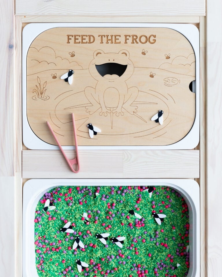Flisat Play Insert: Feed the Frog